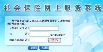 東莞社保個(gè)人賬戶查詢與社會(huì)經(jīng)濟(jì)咨詢服務(wù)指南