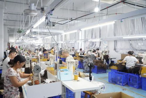 谷子經(jīng)濟(jì)走紅拼多多 小發(fā)絲牽動(dòng)大民生與產(chǎn)業(yè)新圖景