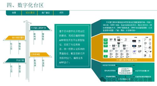 企業(yè)數(shù)字化轉(zhuǎn)型 總體規(guī)劃與實(shí)踐路徑