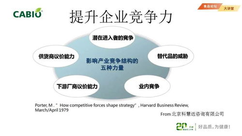 企業(yè)知識(shí)產(chǎn)權(quán)管理與專利信息利用 構(gòu)建核心競(jìng)爭(zhēng)力與商業(yè)價(jià)值的管理咨詢策略